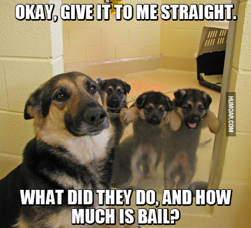 Lesson 291 ~It’s A Hairy Situation~