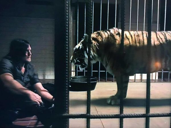 Lesson 354 ~Cleaning Out My Cages~