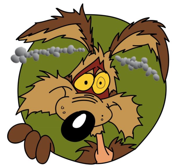 Episode 031 ~Won’t Willie Wile E~