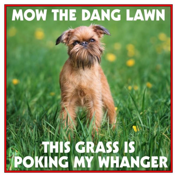 Log 065 ~Get Off Will’s Lawn~