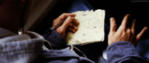 Log 146 ~Knocky In The Will~