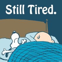 Log 149 ~Don’t Mind The Will~