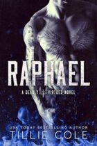 Raphael’s Redemptive Rage Ravishment Review “Book Review”