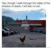 Gospel 201 ~Legs, Breasts, There’s Always Chicken~
