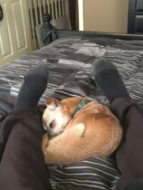 Chronicle 206 ~I’ll Never Tell B~