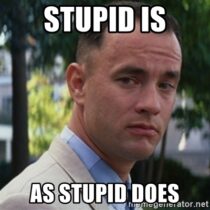 Chronicle 312 ~Stupid Is As Stupid Does~