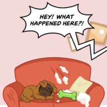 Saga 142 ~B Lying Sometimes Virgil~