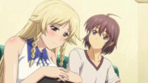 Saga 241 ~Nice Guys Occasionally Do Win~