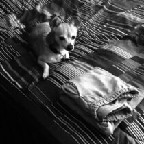 Tale 064 ~Braxton and V Security~