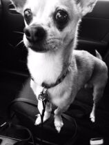 Tale 096 ~CAR Carrying Braxton, Virgil~