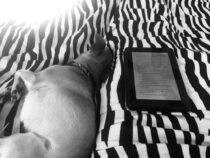Tale 104 ~Virgil’s That Sleepy B~