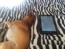 Tale 230 ~ I’ll B Texting Virgil~
